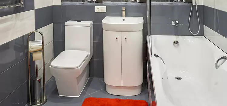 Hansgrohe Shaving Mirror Bowmanville